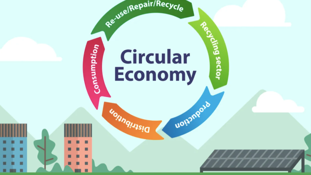 Sustainable circular retail models in e-commerce, illustrating 7 e-commerce trends transforming online shopping in 2026